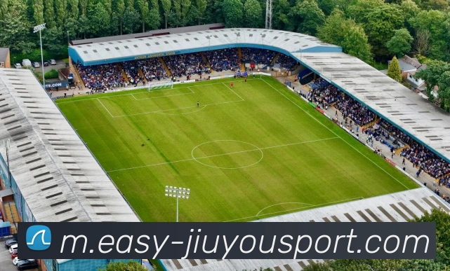 App Interface Preview