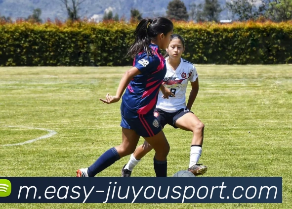 数据防护可视化